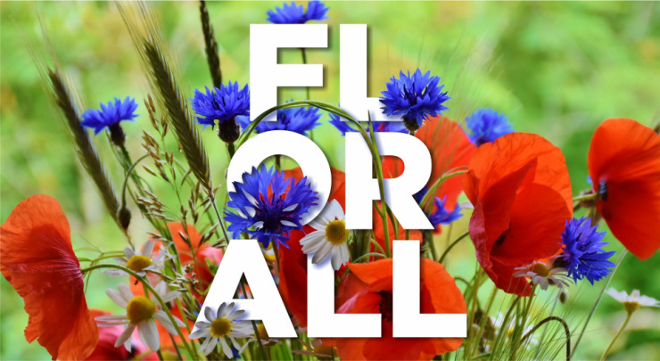 FLORALL 4 04 9